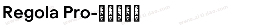 Regola Pro字体转换